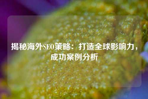 揭秘海外SEO策略：打造全球影响力，成功案例分析