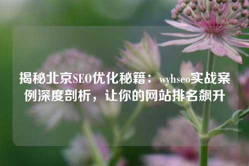 揭秘北京SEO优化秘籍：wyhseo实战案例深度剖析，让你的网站排名飙升