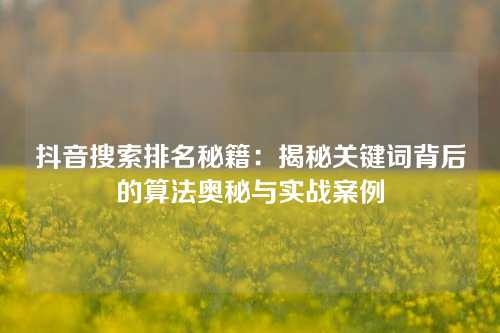 抖音搜索排名秘籍：揭秘关键词背后的算法奥秘与实战案例