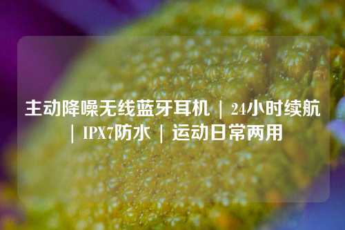 主动降噪无线蓝牙耳机 | 24小时续航 | IPX7防水 | 运动日常两用