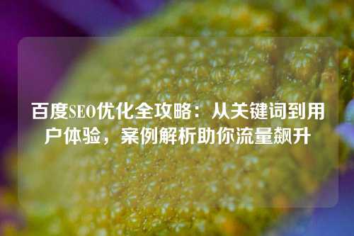 百度SEO优化全攻略：从关键词到用户体验，案例解析助你流量飙升