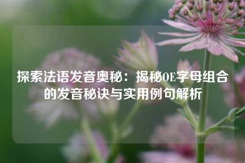 探索法语发音奥秘：揭秘OE字母组合的发音秘诀与实用例句解析