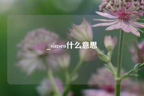 _sinseo什么意思