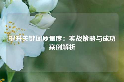 提升关键词质量度：实战策略与成功案例解析