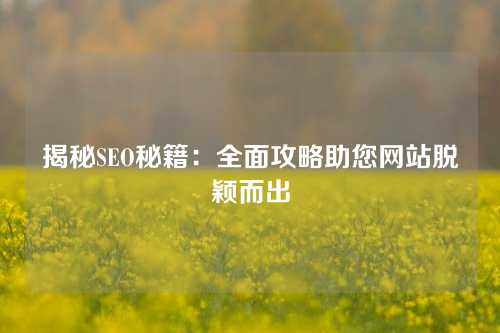 揭秘SEO秘籍：全面攻略助您网站脱颖而出