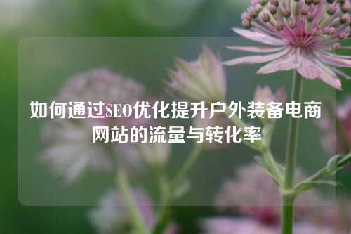 如何通过SEO优化提升户外装备电商网站的流量与转化率