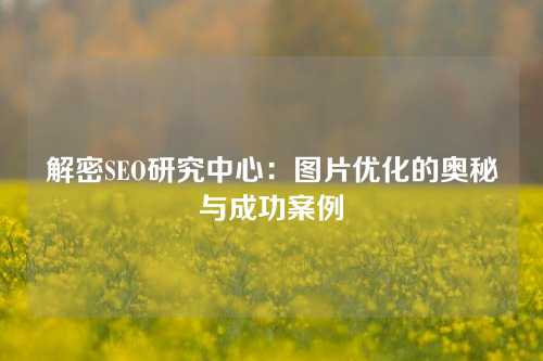 解密SEO研究中心：图片优化的奥秘与成功案例