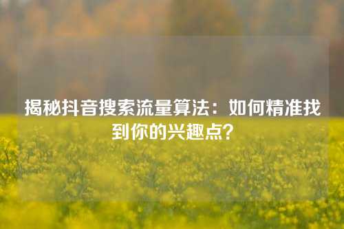 揭秘抖音搜索流量算法：如何精准找到你的兴趣点？