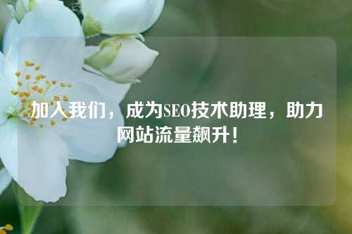 加入我们，成为SEO技术助理，助力网站流量飙升！