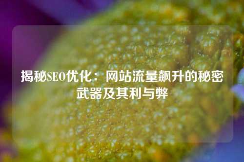 揭秘SEO优化：网站流量飙升的秘密武器及其利与弊