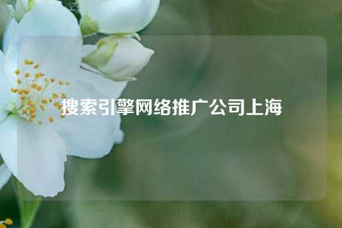 搜索引擎网络推广公司上海