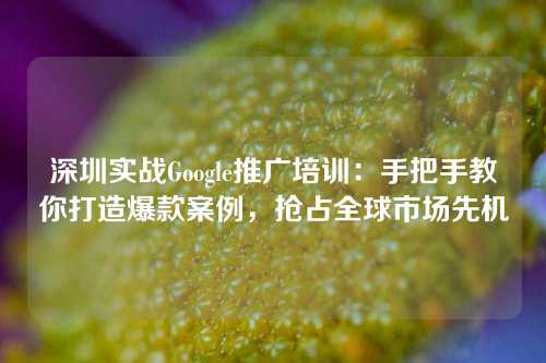 深圳实战Google推广培训：手把手教你打造爆款案例，抢占全球市场先机