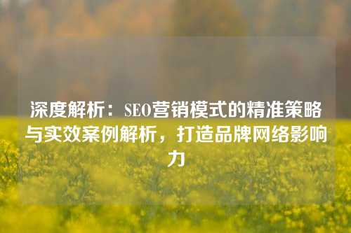 深度解析：SEO营销模式的精准策略与实效案例解析，打造品牌网络影响力