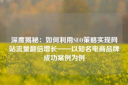 深度揭秘：如何利用SEO策略实现网站流量翻倍增长——以知名电商品牌成功案例为例