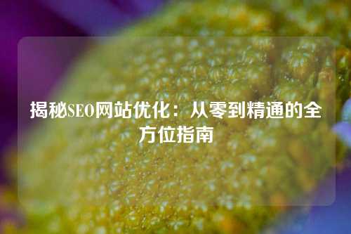 揭秘SEO网站优化：从零到精通的全方位指南