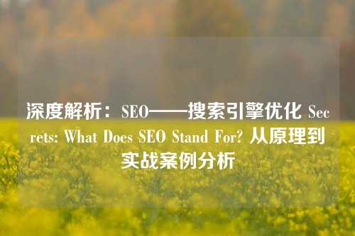 深度解析：SEO——搜索引擎优化 Secrets: What Does SEO Stand For? 从原理到实战案例分析