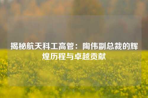 揭秘航天科工高管：陶伟副总裁的辉煌历程与卓越贡献