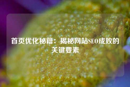 首页优化秘籍：揭秘网站SEO成败的关键要素