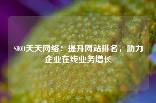 SEO天天网络：提升网站排名，助力企业在线业务增长