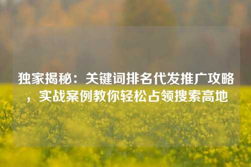 独家揭秘：关键词排名代发推广攻略，实战案例教你轻松占领搜索高地