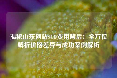 揭秘山东网站SEO费用背后：全方位解析价格差异与成功案例解析