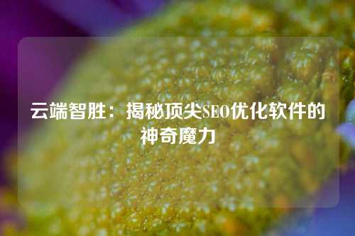 云端智胜：揭秘顶尖SEO优化软件的神奇魔力