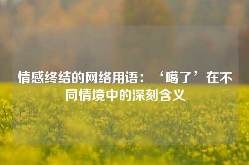 情感终结的网络用语：‘噶了’在不同情境中的深刻含义