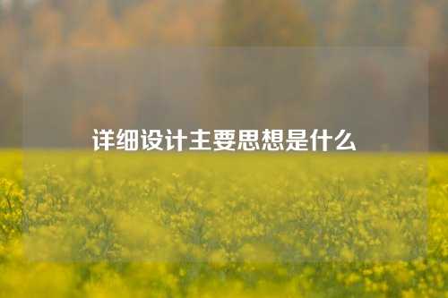 详细设计主要思想是什么