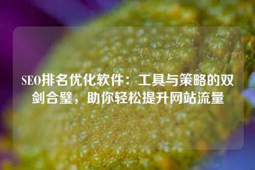 SEO排名优化软件：工具与策略的双剑合璧，助你轻松提升网站流量