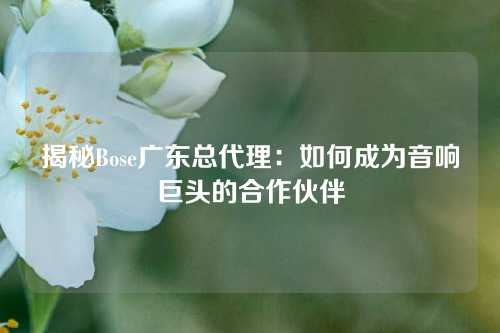 揭秘Bose广东总代理：如何成为音响巨头的合作伙伴