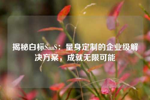 揭秘白标SaaS：量身定制的企业级解决方案，成就无限可能