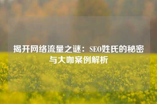 揭开网络流量之谜：SEO姓氏的秘密与大咖案例解析