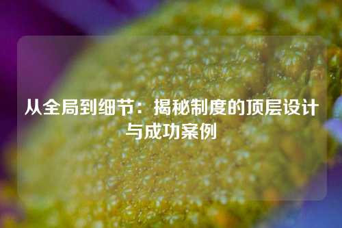 从全局到细节：揭秘制度的顶层设计与成功案例