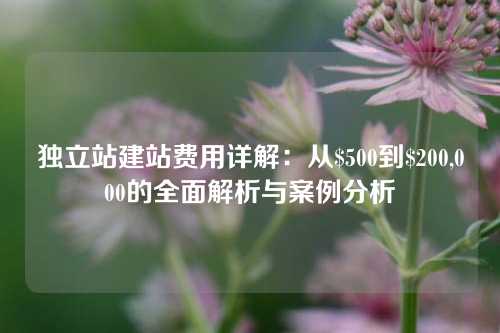 独立站建站费用详解：从$500到$200,000的全面解析与案例分析