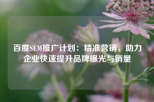 百度SEM推广计划：精准营销，助力企业快速提升品牌曝光与销量