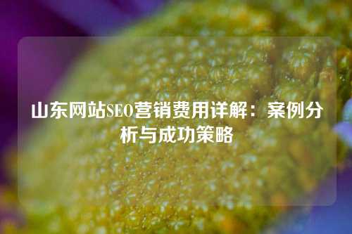 山东网站SEO营销费用详解：案例分析与成功策略