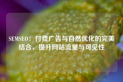 SEMSEO：付费广告与自然优化的完美结合，提升网站流量与可见性