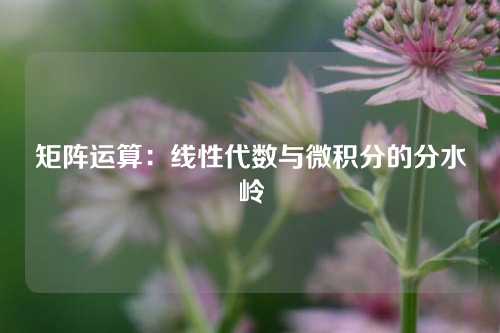 矩阵运算：线性代数与微积分的分水岭