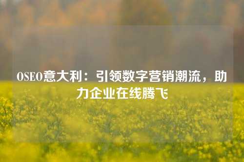 OSEO意大利：引领数字营销潮流，助力企业在线腾飞