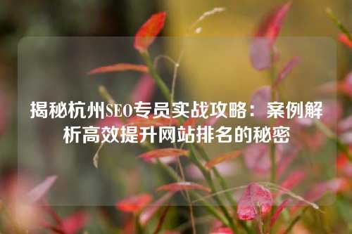 揭秘杭州SEO专员实战攻略：案例解析高效提升网站排名的秘密