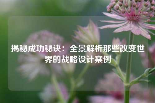 揭秘成功秘诀：全景解析那些改变世界的战略设计案例