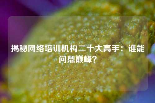 揭秘网络培训机构二十大高手：谁能问鼎巅峰？