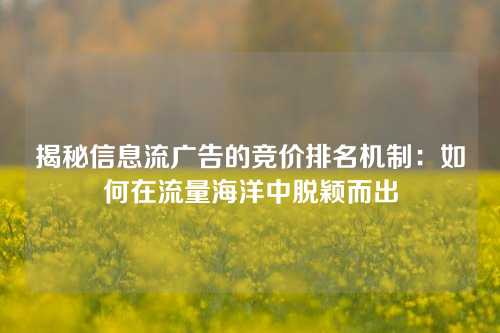 揭秘信息流广告的竞价排名机制：如何在流量海洋中脱颖而出