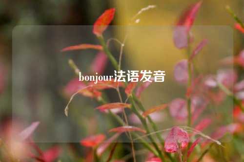 bonjour法语发音