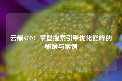 云巅SEO：攀登搜索引擎优化巅峰的秘籍与案例