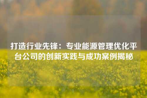 打造行业先锋：专业能源管理优化平台公司的创新实践与成功案例揭秘