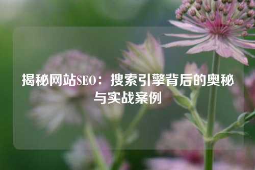 揭秘网站SEO：搜索引擎背后的奥秘与实战案例