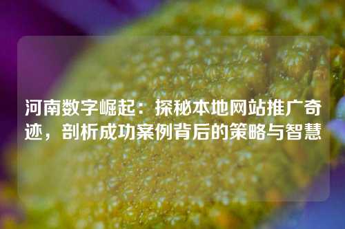 河南数字崛起：探秘本地网站推广奇迹，剖析成功案例背后的策略与智慧