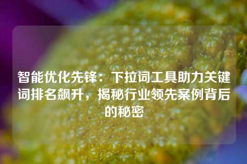 智能优化先锋：下拉词工具助力关键词排名飙升，揭秘行业领先案例背后的秘密