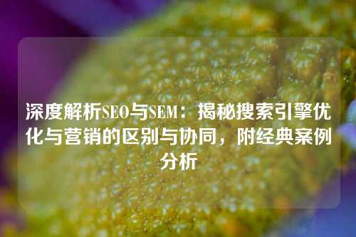 深度解析SEO与SEM：揭秘搜索引擎优化与营销的区别与协同，附经典案例分析